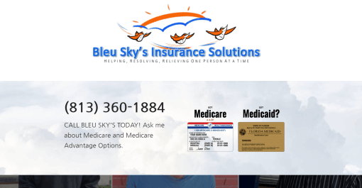 Bleu Sky's Insurance Solutions